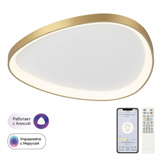 Накладной светильник Citilux GENKA SMART CL756A162