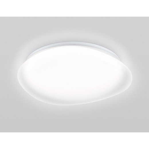 Накладной светильник Ambrella Light ORBITAL FZ1610