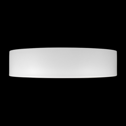 Накладной светильник Loft it Coin 10202 WB