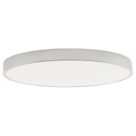 Накладной светильник Zortes Tortty ZRS.02565.96