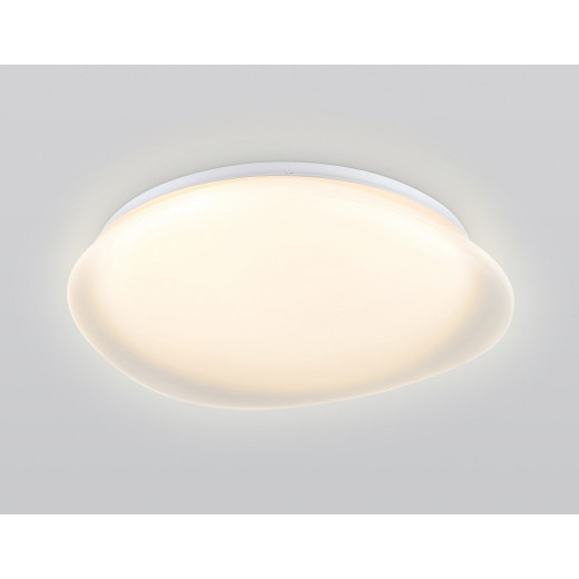 Накладной светильник Ambrella Light ORBITAL FZ1610