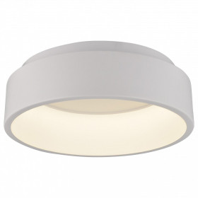 Накладной светильник Arte Lamp 624 A6245PL-1WH