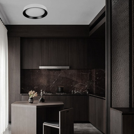 Накладной светильник Loft it Coin 10202 WB