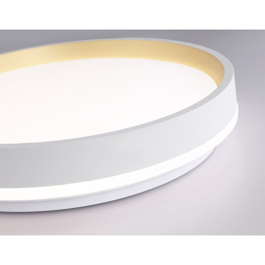 Накладной светильник Ambrella Light FZ FZ601