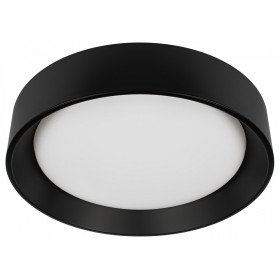 Накладной светильник Loft it Coin 10202 BB