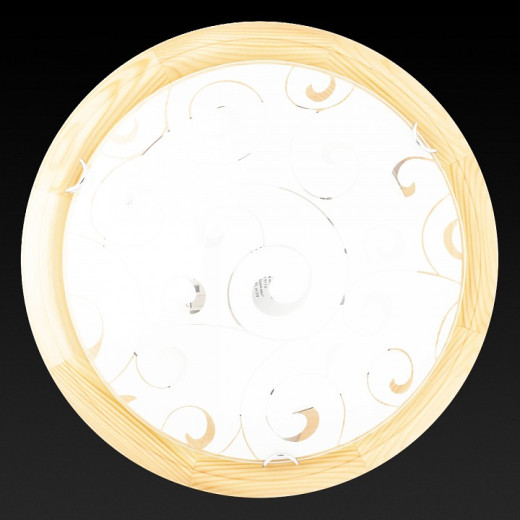 Накладной светильник TopLight Kelly TL9043Y-02PN