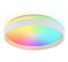 Накладной светильник Ambrella Light FZ FZ601