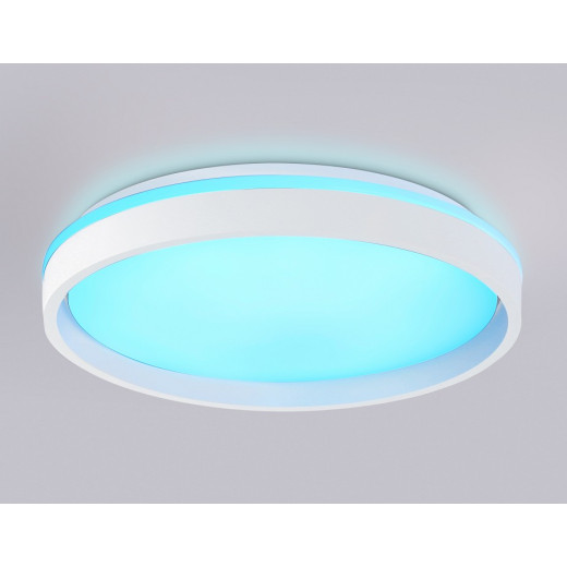 Накладной светильник Ambrella Light FZ FZ607