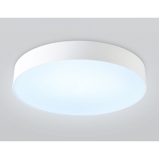 Накладной светильник Ambrella Light ORBITAL FZ1355