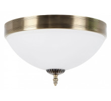 Накладной светильник MyFar Ceiling MR1527-3C