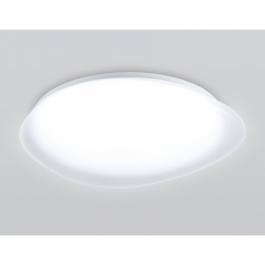 Накладной светильник Ambrella Light ORBITAL FZ1605