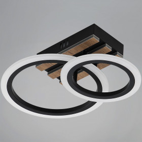 Накладной светильник 00330 00330-0.3-1+1