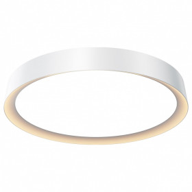 Накладной светильник Maytoni Incognito MOD426CL-L32WK