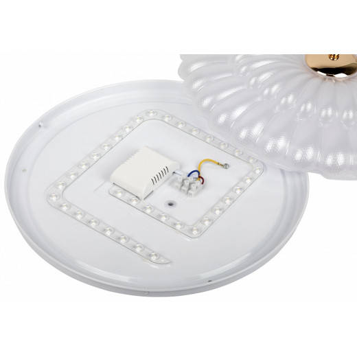 Накладной светильник Эра  SPB-6 Chester 48W-5K WH+GD