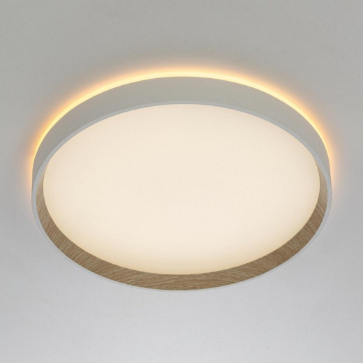 Накладной светильник Citilux ETALON CL750320R