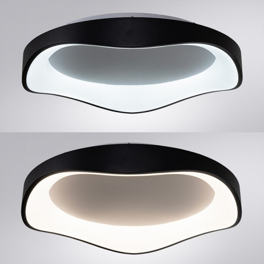 Накладной светильник Arte Lamp ANKAA A3085PL-56BK