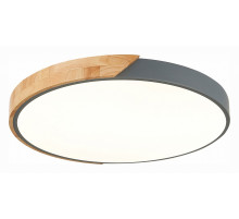 Накладной светильник EVOLUCE Festa SLE200972-01