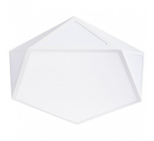 Накладной светильник Arte Lamp Multi-Piazza A1931PL-1WH