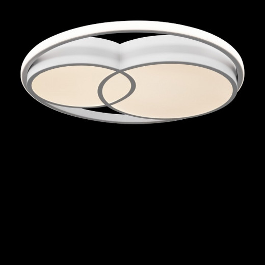 Накладной светильник Freya  FR10029CL-L70W