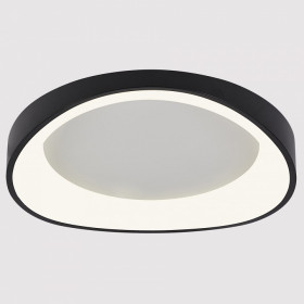 Накладной светильник Arte Lamp None A2698PL-60BK