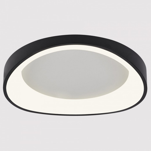 Накладной светильник Arte Lamp None A2698PL-60BK