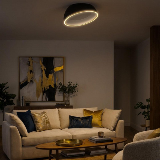 Накладной светильник Citilux FLOOM CL736151