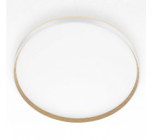 Накладной светильник Citilux ETALON CL750500R