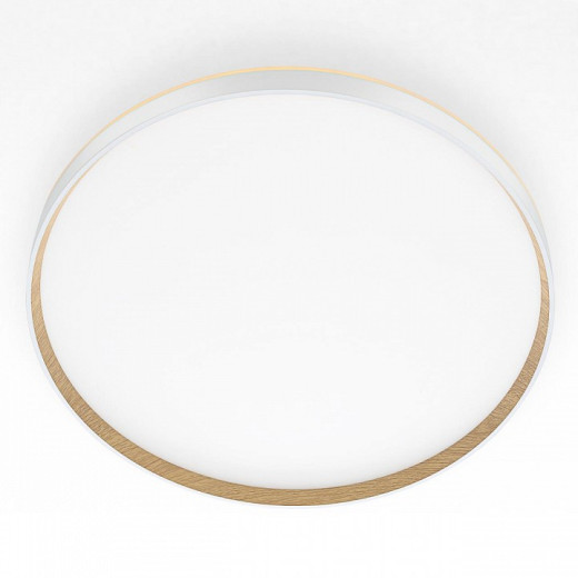 Накладной светильник Citilux ETALON CL750500R