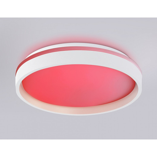 Накладной светильник Ambrella Light FZ FZ601