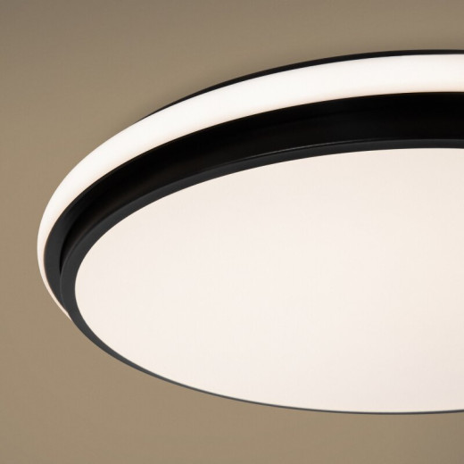 Накладной светильник Freya Pie FR6086CL-L117B