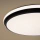 Накладной светильник Freya Pie FR6086CL-L117B