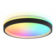 Накладной светильник Ambrella Light FZ FZ610