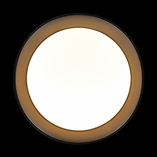 Накладной светильник Loft it Coin 10202 BB