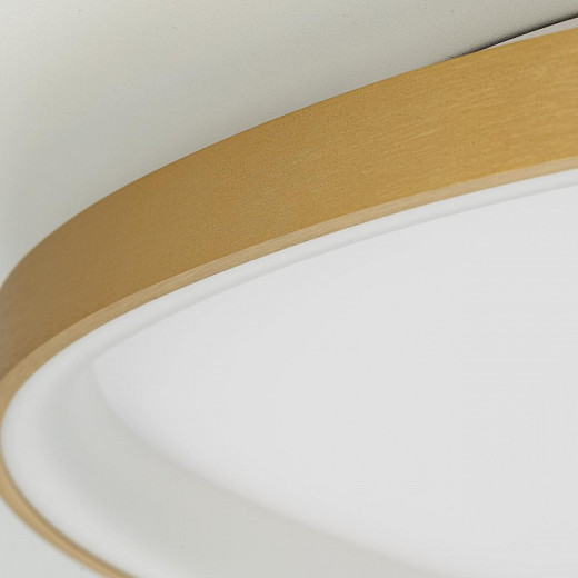 Накладной светильник Citilux GENKA SMART CL756A162