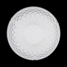 Накладной светильник Sneha  Гладиолус мат (300) НПБ 01-2х60-001
