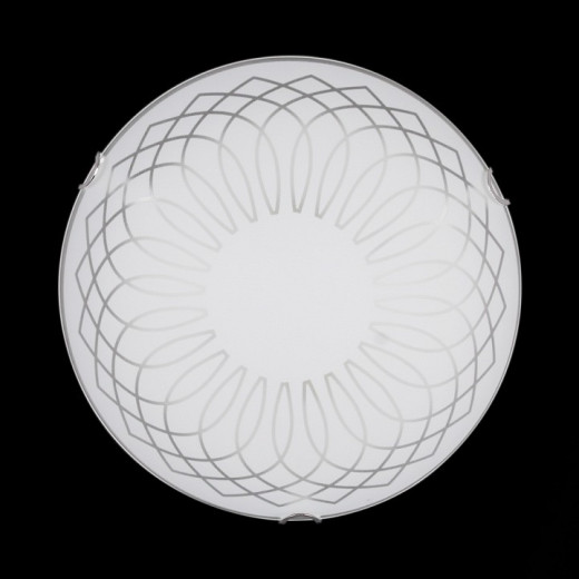 Накладной светильник Sneha  Гладиолус мат (300) НПБ 01-2х60-001