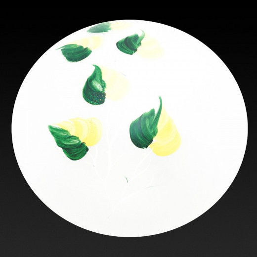 Накладной светильник TopLight Enilu TL9460Y-02OA