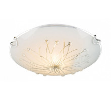 Накладной светильник Globo Calimero I 40402-1