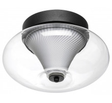 Накладной светильник Lightstar Palermo 612017