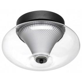 Накладной светильник Lightstar Palermo 612017