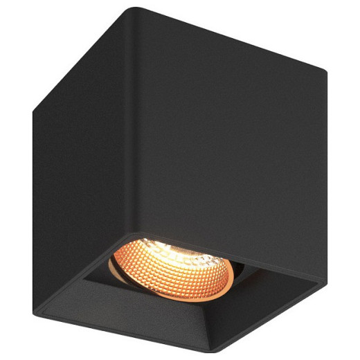 Накладной светильник Denkirs DK3030 DK3080-BBR