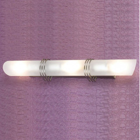 Накладной светильник Lussole Selvino LSA-7711-03