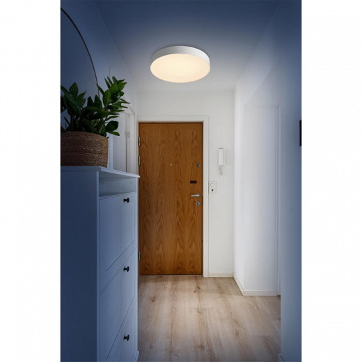 Накладной светильник Sonex BASICA 7779/ELN