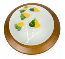 Накладной светильник TopLight Enilu TL9461Y-01OA