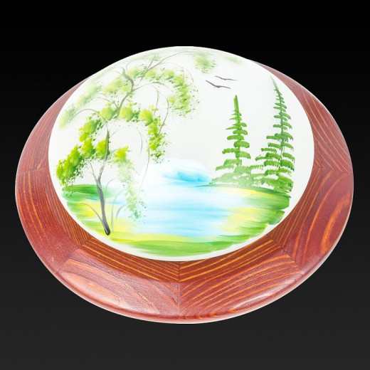 Накладной светильник TopLight Witaec TL9470Y-01OA