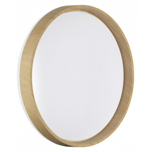 Накладной светильник Sonex BASICA 7684/ELN