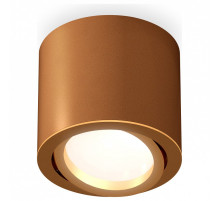 Накладной светильник Ambrella Light XS XS7404001