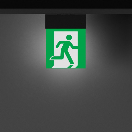 Светильник-указатель Arlight EMG-MARK 059801