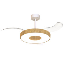 Светильник с вентилятором Mantra COIN FAN 9500