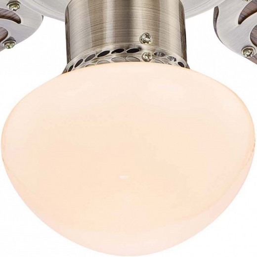 Светильник с вентилятором Globo Champion 309